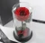Import High Quality Preserved Fresh Roses With Competitive Price from China