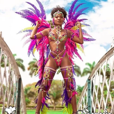 High quality samba carnival costumes for women