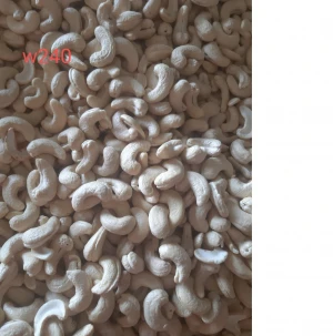 High quality w240 Cashew Nut in Vietnam