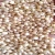 Import High Quality White Sorghum Bulk Red Sorghum For Sale From Tanzania Origin from Ukraine