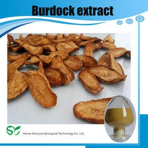 Quality Fresh Burdock Root, Burdock Root Powder, Root Extract