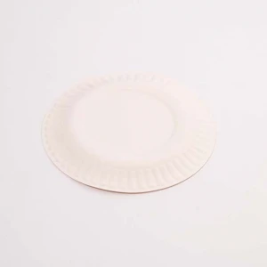 hot sale 9 Inch Biodegradable Recycled Sugarcane Plate Bamboo Paper Pulp Plate Compostable Packaging
