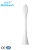Import Hot Sale Adults Soft Sonic Tooth Brush Replacement Head Replaceable Electric Toothbrush Heads from China
