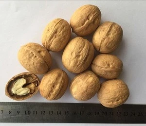Hot-sale california walnut prices 2018