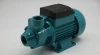 Hot Sale Clean Water Pump Qb60 Votex Pump Qb Water Pumps