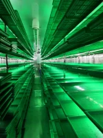 Hot sale Farm Using 1000kg/d Hydroponics fresh forage cultivate machine for livestocks green feed