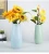 Import Hot Sale Flower Pots & Planters Ceramic Bottle Shape Cheap Glaze Ceramic Porcelain Flower Vase from China
