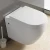 Import Hot sale wc sanitary wares egg shape wall mounted toilet from China