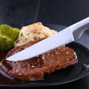 Hot selling stainless steel 3cr13 matte polish steak knife classic kitchen knife