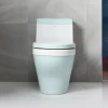 household Sanitary Ware Toilet siphonic One Piece types luxury Wholesale Wc toilet