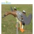 Import Hunting Electric Flying Duck Decoy With Remote Control from China