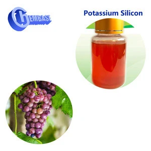 Increased Crops Growth Yield Fertilizers Organic Potassium Silicon