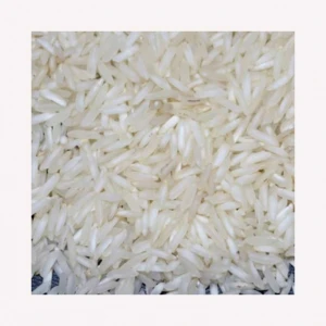 Indian long Grain Rice for Netherlands Market