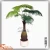 Import indoor large outdoor bonsai trees artificial bottle coconut palm coconut plant nursery types of ornamental plants from China