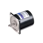 INDUCTION MOTOR