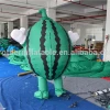 Inflatable Fruit watermelon model mascot costumes