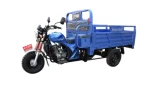 Jh Star Lion King 3 Generation Gasoline Trike Motorcycle