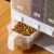 Import Kitchen Wall-Mounted Clear Plastic Storage Box PP Material Cereal Dispenser Dry Food Whole Grain Rice Bucket Rice Storage Bin from China