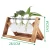 Import Large creative hydroponic plant transparent glass vase wooden frame vase from China