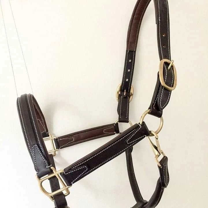 Leather Halter With With Thread Stitching