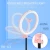 Import Led Ring Light Photography Portable Foldable 12 Inch Selfie Ring Light with Tripod from Pakistan