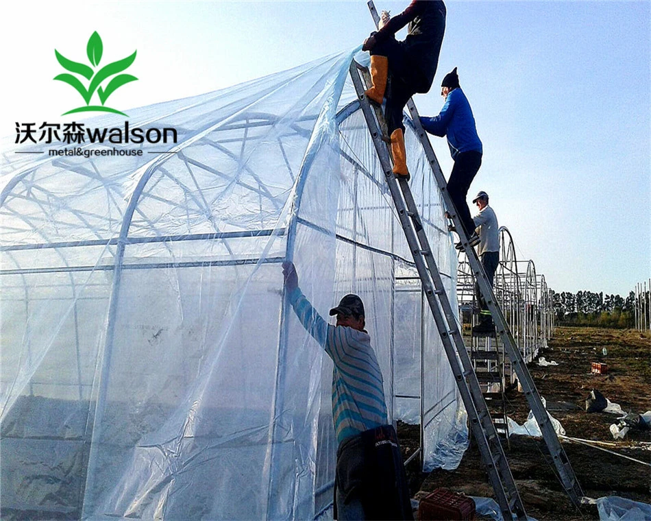 Light Deprivation Multi Span Tunnel Large Glass Agricultural Greenhouse for Vegetable
