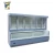 Import Little Duck Frozen Food Display Freezer E7 ST.PAWL CE from China