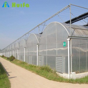 Low Cost Productive Plastic Greenhouse Agriculture