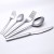 Import Luxury Cutlery Camping Stainless Steel Wedding Silverware Flatware Set from China