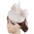 Import Luxury Fancy Women Horse Racing Festival Palio Fascinator Lady Hat from China