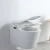 Import manufacture  uniqeu piss  wc  japanese toilet urine Aged  user  Wall Pan toilet  lavatory wc  water closet winter warm seat wc from China