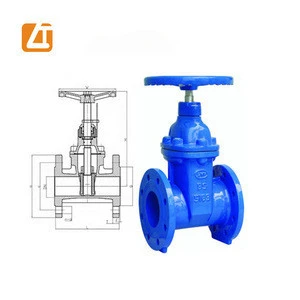 Medium Resilient Seated Gate Valve Dn50-Dn400