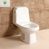 Modern Simple White Bathroom Ceramic Washdown Toilet Bowl