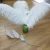 Import Most popular wedding natural white ostrich feather for wedding decoration from China