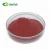 Import Natural 100% Instant Water Soluble Fruit Or Vegetable Juice Concentrate Powder from China