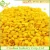 Import Natural Yellow/White Bee Wax Pellets from China