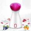 New Arrival Beauty Care Fruit Vegetable Professional Nano Ion Mist Facial Steamer