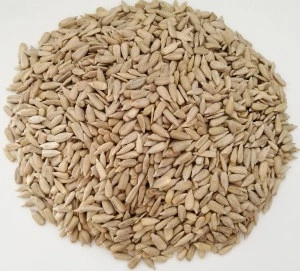 new crop confectionary sunflower seed kernels