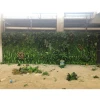 new design vertical plants wall artificial green wall system for indoor garden module decoration