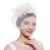 Import New Fascinator Hair Accessories Elegant Fashion Headwear Fancy Feather Beads Hair Pins Cocktail Party Hair Clips from China