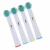 Import New Popular Multi-model Universal Electric Toothbrush Head from China