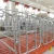 Import New Recumbent Automatic-Welding Various Standard Size Tube Gestation Crates For Pig Farm Equipment from China