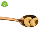 Nut snacks roasted processing raw materials raw cashew/cashews nuts for sale