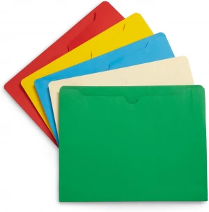 office products PP one plastic pockets material extended file folder