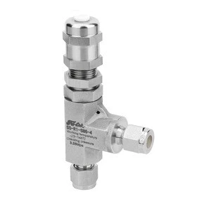 Open Pressure about 50 to 300 psi Stainless Steel Relief Valves