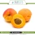 Import Organic Apricot Kernel Oil India from China