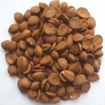 Organic  apricot kernels