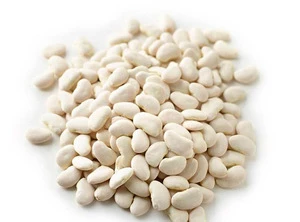 Organic lima beans for sale