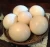 Import Ostrich chicks and fertile ostrich eggs from United Kingdom