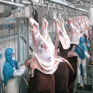 overhead meat rails systems slaughtering equipment
